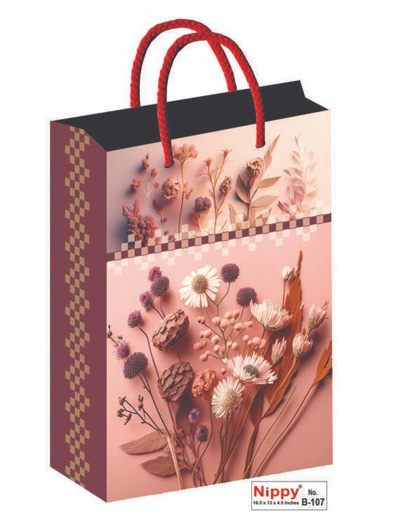 Paper Bags 12 Pcs Big Size (16.5x13 inch)B107