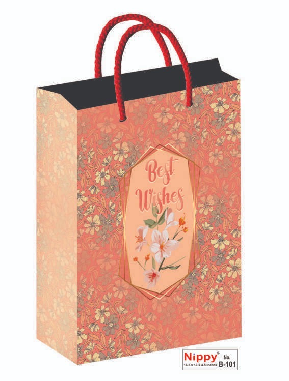 Paper Bags 12 Pcs Big Size(16.5x13 inch)B101